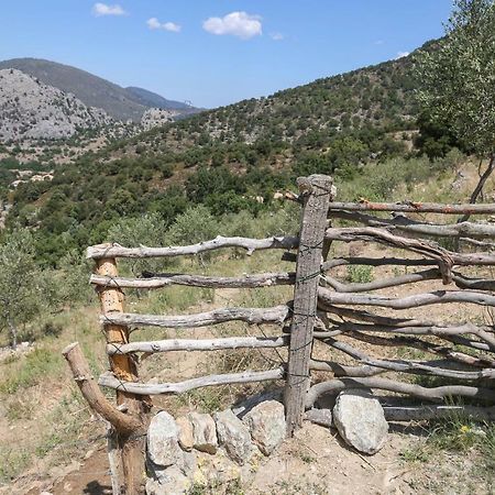 ホテル Les Bergeries "Le Figuier" Omessa エクステリア 写真