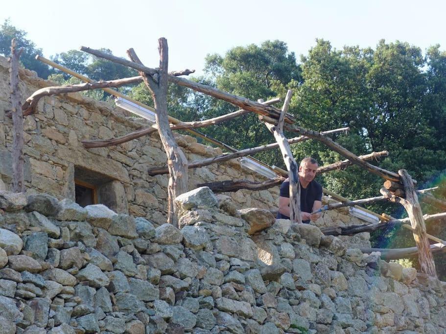 ホテル Les Bergeries "Le Figuier" Omessa エクステリア 写真