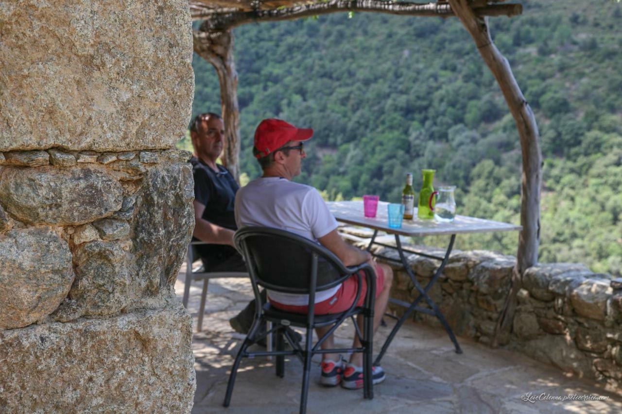 ホテル Les Bergeries "Le Figuier" Omessa エクステリア 写真